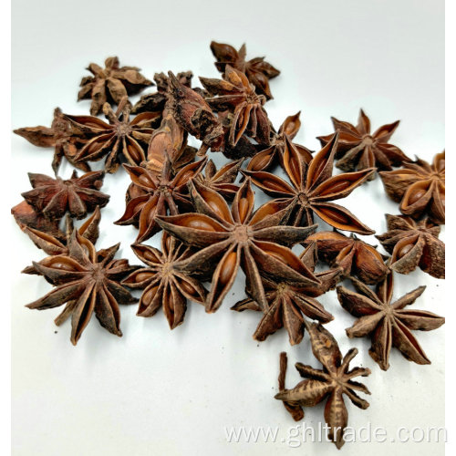 Star Aniseed